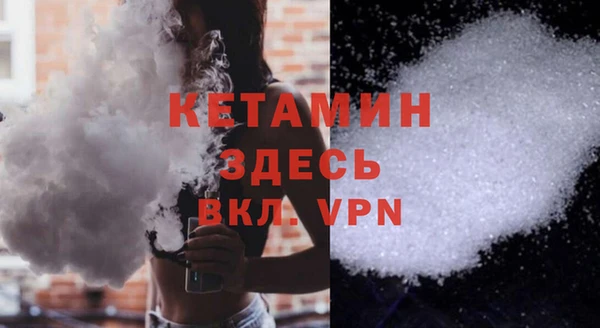 индика Гусиноозёрск