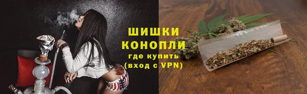 индика Гусиноозёрск