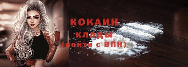 индика Гусиноозёрск