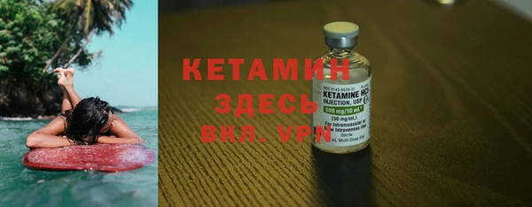 индика Гусиноозёрск