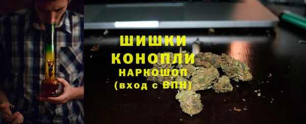 индика Гусиноозёрск