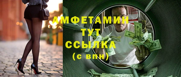 индика Гусиноозёрск