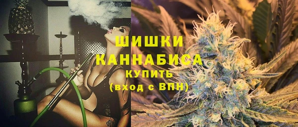индика Гусиноозёрск