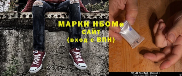 индика Гусиноозёрск