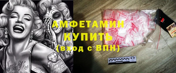 индика Гусиноозёрск
