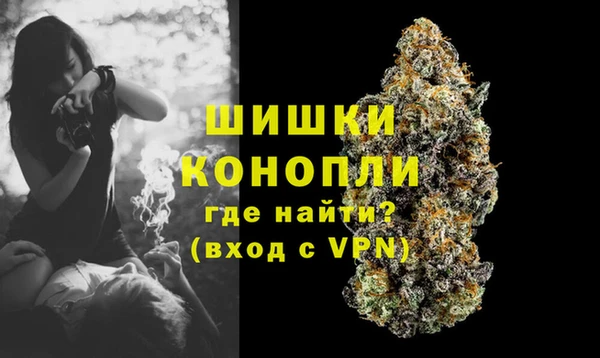 индика Гусиноозёрск