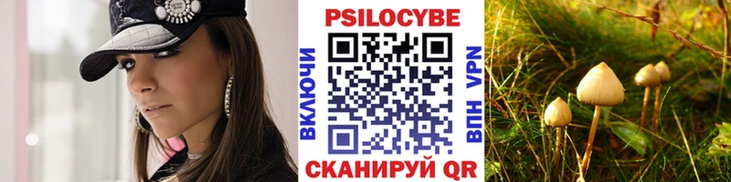 Псилоцибиновые грибы Magic Shrooms  Купить закладки  Колпашево 