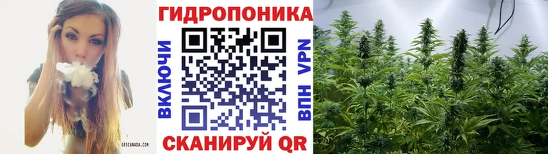 МАРИХУАНА семена  Купить  Колпашево 